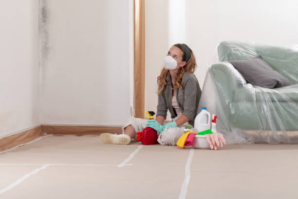 Reliable Mold Remediation contractor in Bridgeport, MI by Car Mold Remediation
